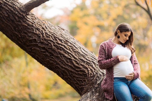 Giovane donna incinta nel parco autunnale