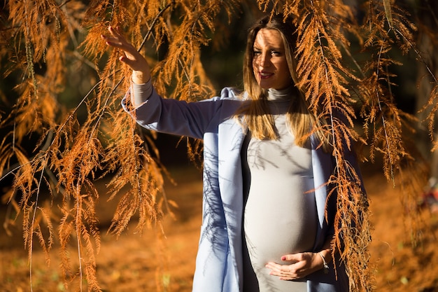 Giovane donna incinta nel parco d&#39;autunno