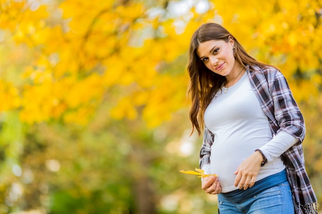 Giovane donna incinta nel parco d&#39;autunno