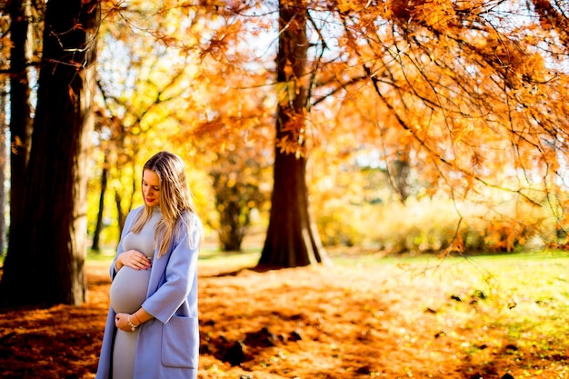 Giovane donna incinta nella foresta di autunno