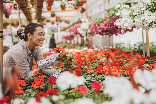 Giovane donna sorridente che controlla i fiori nel garden center o nel vivaio.