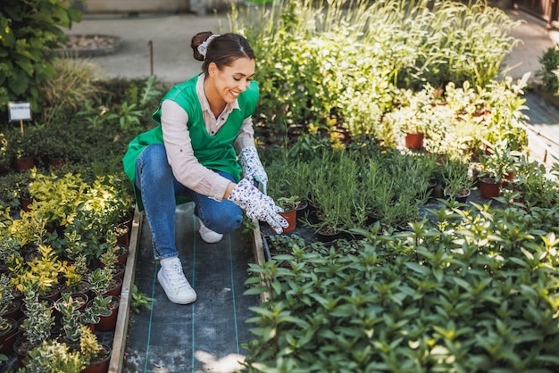 Giovane donna sorridente che lavora con i fiori in una serra. Imprenditrice donna.