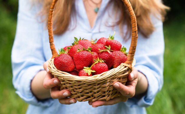 Giovane donna tiene in mano un cesto con fragole fresche mature Raccolta fragole da vicino
