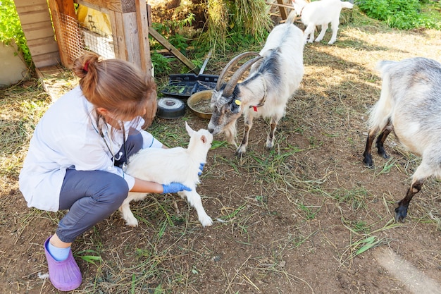 Giovane donna veterinaria con lo stetoscopio che tiene e che esamina capretto su sfondo ranch. Giovane capretto nelle mani del veterinario per il controllo in una fattoria ecologica naturale. Bestiame moderno, agricoltura ecologica.