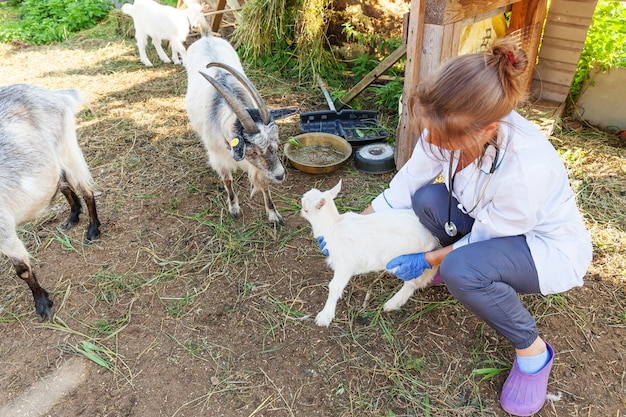 Giovane donna veterinaria con lo stetoscopio che tiene e che esamina capretto su sfondo ranch. Giovane capretto nelle mani del veterinario per il controllo in una fattoria ecologica naturale. Bestiame moderno, agricoltura ecologica.