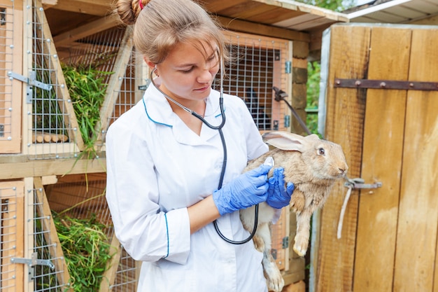 Giovane donna veterinaria felice con la tenuta dello stetoscopio e coniglio d'esame sul fondo del ranch. Coniglietto in mani veterinario per check up in eco farm naturale. Cura degli animali e concetto di agricoltura ecologica.