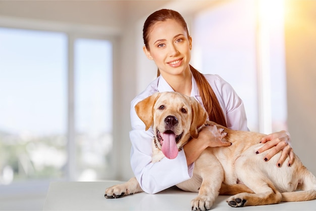 Giovane dottoressa veterinaria e cane da riporto