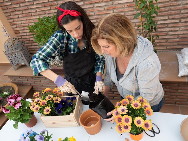 Giovane e donna matura che fa giardinaggio a casa prendendo una pianta da un vaso