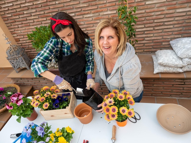 Giovane e donna matura che fa giardinaggio a casa prendendo una pianta da un vaso