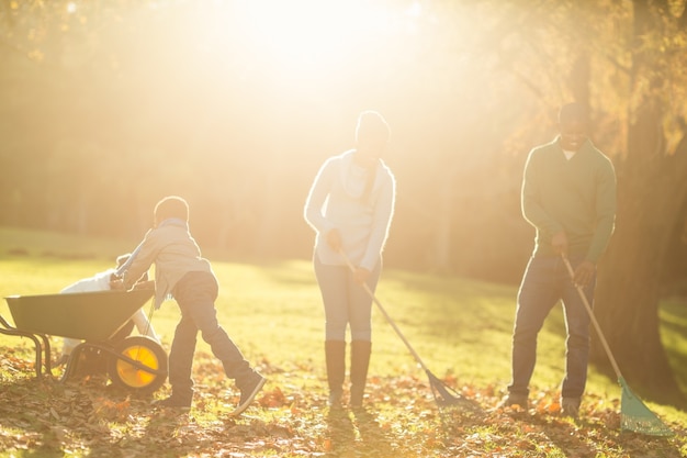 Giovane famiglia raccogliendo foglie