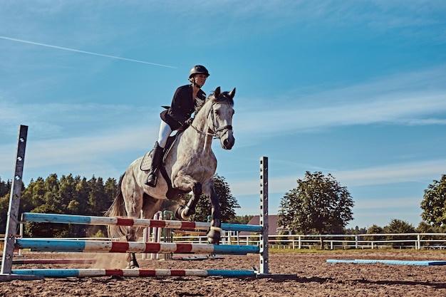 Giovane fantino femmina sul cavallo grigio dapple che salta sopra l'ostacolo nell'arena aperta.