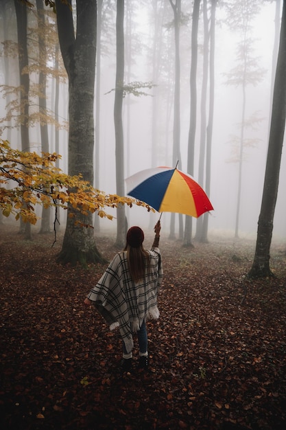 Giovane femmina che indossa un poncho nella foresta e tiene in mano un ombrello multicolore durante l'autunno piovoso