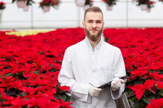 Giovane giardiniere barbuto in una serra. Un uomo in forma di lavoro con tablet nelle mani. Molti vasi di stella di Natale rossa. Concetto di giardinaggio