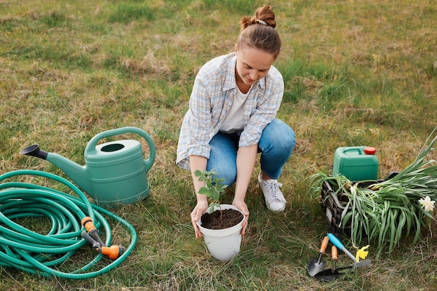 Giovane giardiniere che indossa una maglietta e jeans che lavora nel campo circondato da un tubo di irrigazione annaffiatoio e una scatola con fiori che tengono una piantina di lampone per piantare nel terreno