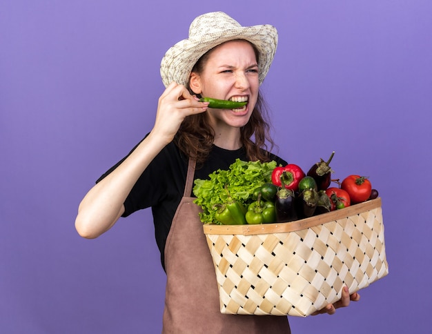 Giovane giardiniere femminile teso che indossa cappello da giardinaggio che tiene cesto di verdure morsi di pepe isolati su parete blu