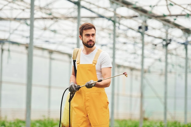 Giovane lavoratore in serra in impianti di irrigazione uniformi gialli utilizzando attrezzature speciali all'interno della serra