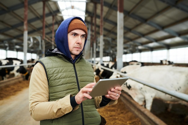 Giovane lavoratore maschio serio dell'allevamento di mucche che utilizza la tavoletta digitale