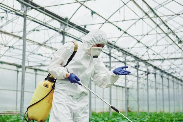 Giovane lavoratrice in serra in piante di irrigazione uniformi protettive completamente bianche all'interno della serra