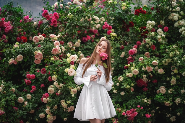 Giovane modella su uno sfondo di un cespuglio di rose