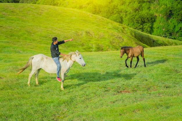 Giovane nel campo a cavallo, un uomo a cavallo nel campo e che punta, a cavallo di un bel cavallo nel campo