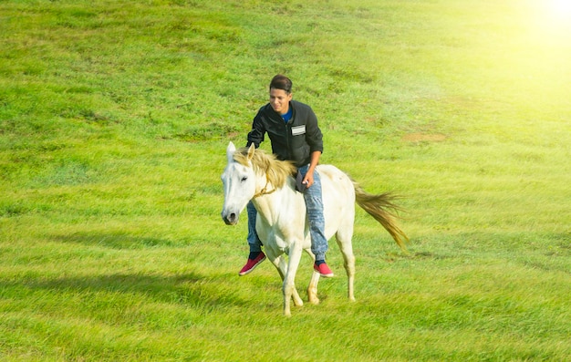 Giovane nel campo a cavallo, un uomo a cavallo nel campo e indicando, a cavallo di un bellissimo cavallo nel campo