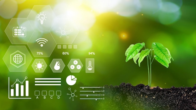 Giovane pianta che cresce alla luce solare Fonti concettuali ambientali ed ecologiche per lo sviluppo rinnovabile e sostenibile Agricoltura tecnologica digitale e concetto di agricoltura intelligente