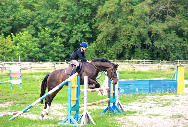 Giovane pilota al salto ostacoli Cavaliere a cavallo salta sopra l'ostacolo