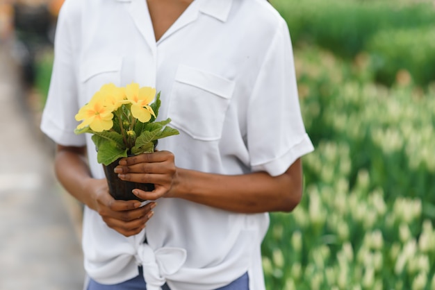 Giovane ragazza afroamericana, lavoratore con fiori in serra.