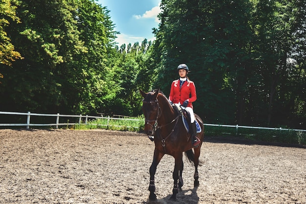 Giovane ragazza graziosa della puleggia tenditrice che prepara il cavallo per il giro. amo i cavalli. ragazza che monta un cavallo