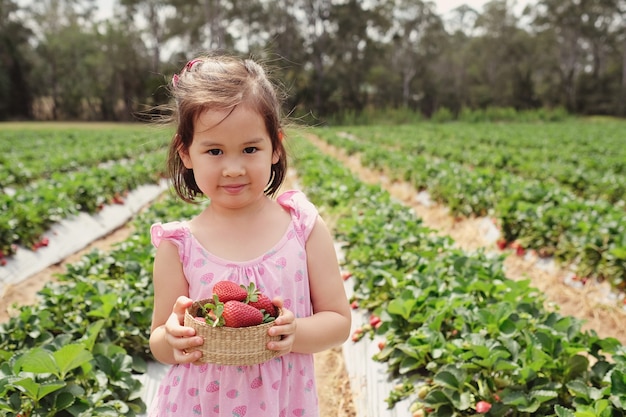 giovane ragazza raccogliendo fragole in azienda