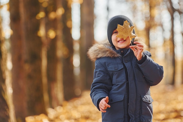 Giovane ragazzo allegro che si diverte e cammina nella foresta d'autunno