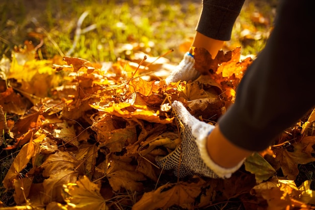 Giovane ragazzo pulisce le foglie cadute Concetto di purezza foglie d'autunno Guanti outdoor sulle sue mani