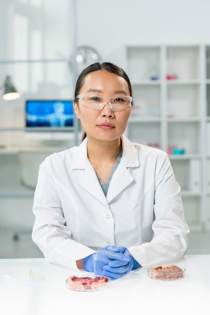 Giovane ricercatrice asiatica guantata in camice bianco e occhiali da vista seduta sul posto di lavoro con due campioni di carne vegetale cruda in piastre di Petri