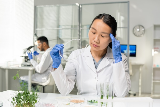 Giovane ricercatrice asiatica stanca in camice bianco e guanti che si toccano la testa mentre studia campioni di germogli coltivati in laboratorio in laboratorio