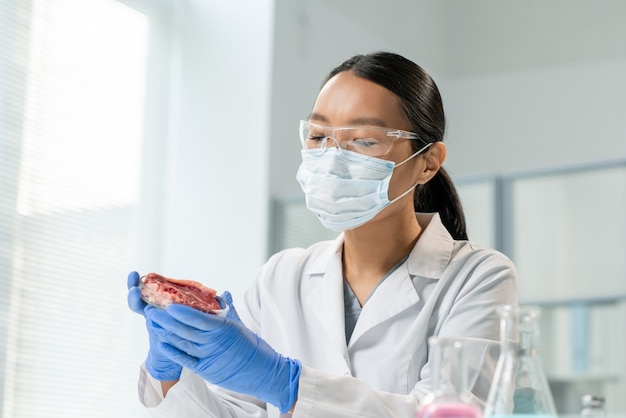 Giovane ricercatrice scientifica guantata in camice bianco, maschera e occhiali guardando attentamente un pezzo di carne vegetale cruda nella capsula di Petri in laboratorio