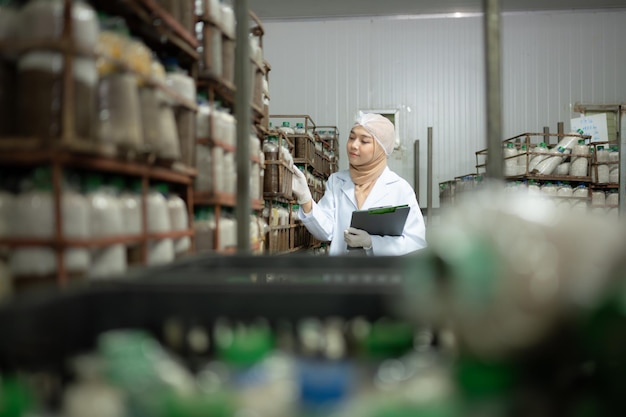 Giovane scienziata musulmana asiatica che fa ricerca in una fabbrica di funghi che esamina l'agente lievitante dei funghi in una stanza sterile e a temperatura controllata