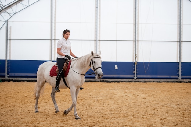 Giovane sportiva in jeans attillati e polo bianca che si siede sul retro del cavallo da corsa durante l'allenamento per l'evento equestre