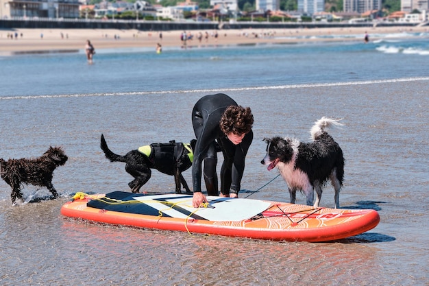 Giovane surfista che gioca in riva al mare con i suoi cani