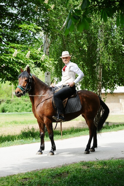 Giovane uomo alla moda tenendo a cavallo sulla campagna