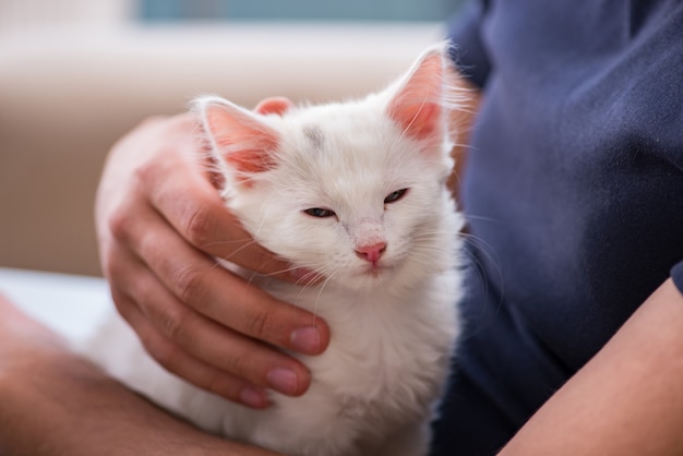 Giovane uomo bello che gioca con il gattino bianco