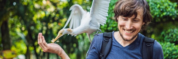 Giovane uomo che alimenta ibes nel parco garzetta garzetta garzetta bubulcus ibis bordo acque banner lungo