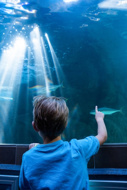 Giovane uomo che punta il pesce in un serbatoio con il dito