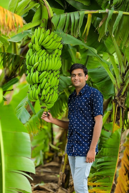 Giovane uomo indiano in una camicia blu sul campo di banane