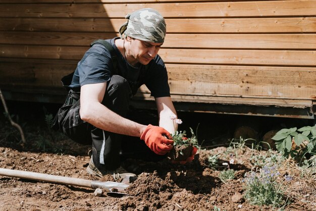 Giovane uomo maturo giardiniere e agricoltore 40 anni con mani maschili in guanti piante fiori di campo margherita sulla sua fattoria suburbana nel villaggio di campagna vicino a casa giardinaggio e decorazione di terreni