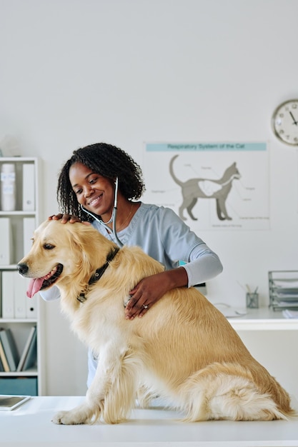 Giovane veterinario africano che esamina il cane con lo stetoscopio sul tavolo della clinica veterinaria