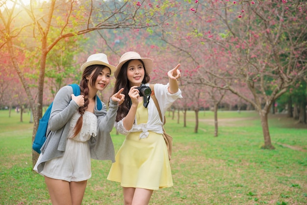 giovani backpackers femminili che puntano bellissimi fiori di sakura e tengono la fotocamera per scattare foto sul famoso parco degli alberi di ciliegio in fiore nelle vacanze di viaggio in Giappone.