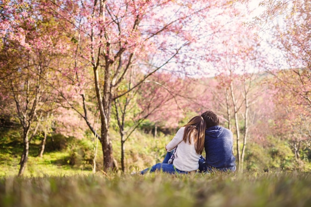Giovani coppie che camminano nel parco e guardando albero di fiori di ciliegio