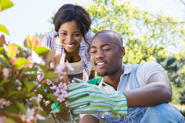 Giovani coppie che fanno il giardinaggio insieme