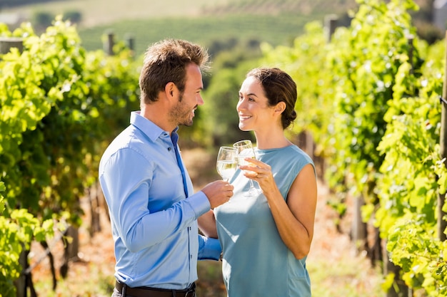 Giovani coppie che tostano i bicchieri di vino alla vigna