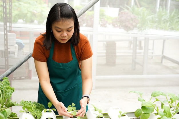 Giovani donne asiatiche agricoltrici si prendono cura dell'ortaggio idroponico